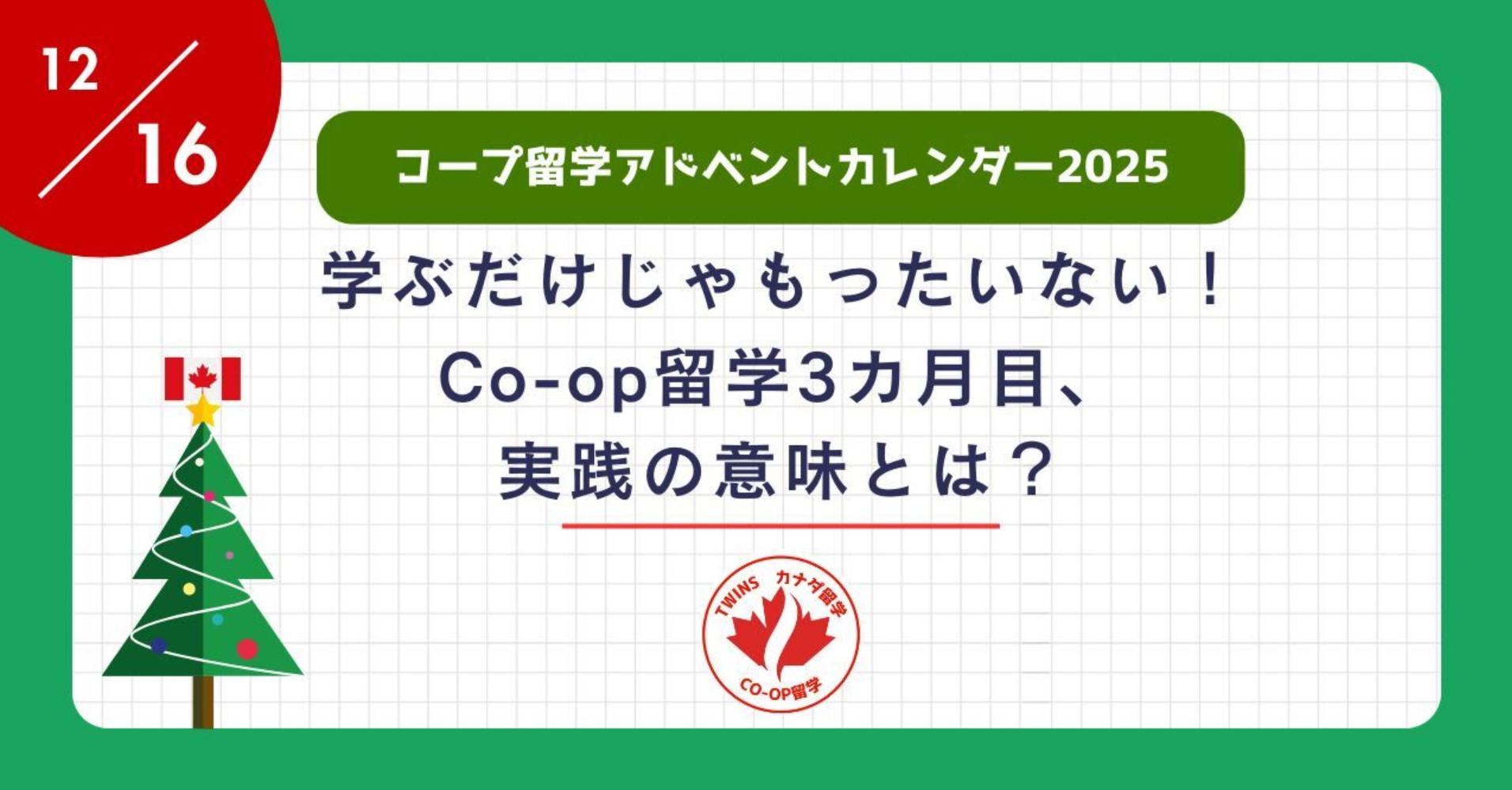 コープ留学アドベントカレンダー2025、12月16日の記事アイキャッチ画像。「学ぶだけじゃもったいない！Co-op留学3ヶ月目、実践の意味とは？」というタイトルで、クリスマスツリーとカナダ国旗のアイコンがデザインされています。